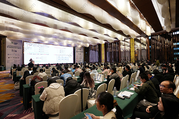 EI Conference Paper Attendance: Essential Insights for Researchers
